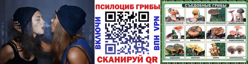 даркнет сайт  Верея  Галлюциногенные грибы MAGIC MUSHROOMS 